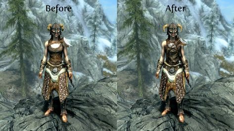 Practical Female Hide Armors at Skyrim Special Edition Nexus - Mods and Community Scaled Armor, Female Dragonborn, Skyrim Special Edition Mods, Skyrim Mods, Female Armor, Black Tree, Games Images, Armors, Popular Games