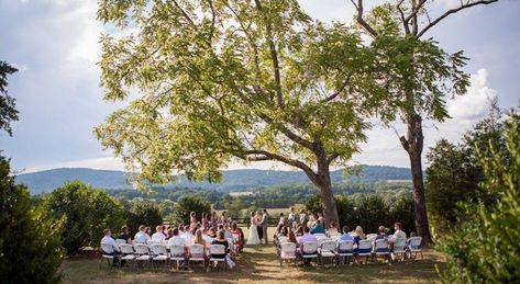 Wolftrap Farm Weddings Central Virginia Wedding Venue Gordonsville VA… Gordonsville Virginia, Budget Wedding Venue, Wolf Trap, Wedding Venues In Virginia, Inexpensive Wedding Invitations, March Wedding, Wedding Dress Alterations, Virginia Wedding Venues, Farm Weddings