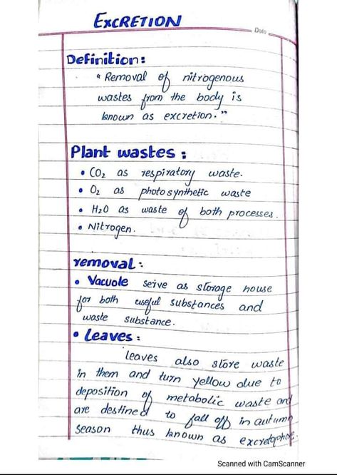 Excretion and plant wastes. Excretion Biology Notes, Excretion Notes, Homeostasis Biology Notes, Zoology Notes, Botany Notes, Life Science Middle School, Hand Written Notes, Jee Mains, Written Notes