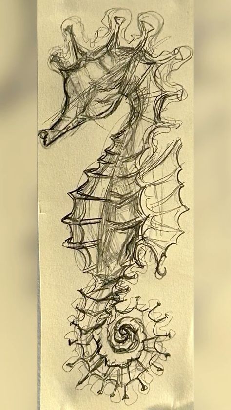 How To Draw A Seahorse Step By Step, Seahorses Drawings, Sea Horse Drawings, Sea Life Sketches, Unique Sketch Ideas, Seahorse Drawings, Ocean Drawing Ideas, Sea Creature Drawings, Seahorse Sketch