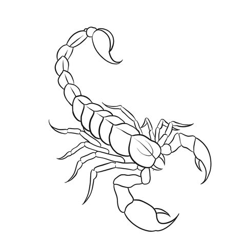 ကင်းမှီးကောက် Tattoo, How To Draw A Scorpion, Scorpion Stencil, Self Tattoo Ideas, Tattoo Stencils Outline, Scorpion Image, Self Tattoo, Deer Drawing, Tattoo Practice