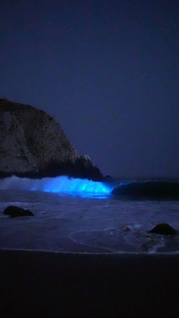 Patrick Coyne on Instagram: "•Bioluminescence• We found bioluminescence in Laguna Beach last night and it was beautiful! I checked a couple of spots but it seems like Crystal Cove has the best conditions and is where this video was taken. I love this clip in particular because I have 4 back to back waves glowing super bright. I tried my best to stay quiet this time so you could hear the ocean instead of me freaking out haha. I hope you enjoy! Shot alongside @joshg_photos - - - - #discoverla Stay Quiet, Dark Beach, Beach Cove, Ocean At Night, Sea Of Stars, Crystal Cove, Beach At Night, I Tried My Best, My Fantasy World