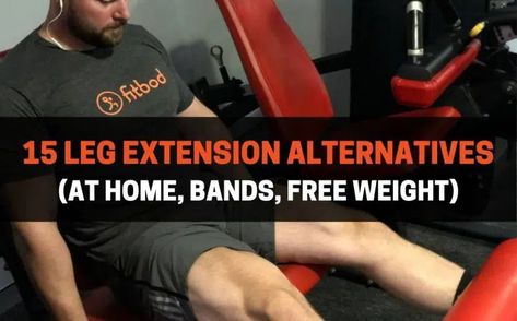 15 Leg Extension Alternatives (At Home, Bands, Free Weight) | PowerliftingTechnique.com Leg Extension Alternative, Leg Press Alternative At Home, Leg Extensions At Home, Leg Extensions Workout, Leg Extension, Back Extensions, Diy Home Gym, Leg Curl, Free Weights