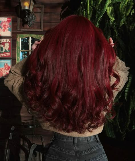 Red Hair-color Ideas dark hair long haircut layer long auburn fall healthy Red Hair Styles, Red Hair Color Ideas, Cherry Red Hair, Wine Red Hair, Wine Hair, Red Hair Inspo, Cherry Hair, Dark Red Hair, Long Red Hair