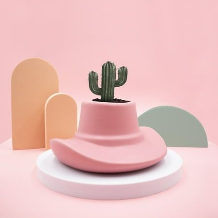 Western Charm: Inspired by the iconic cowboy hat, this planter brings a piece of the Wild Wild West to your home or garden. Designed to cradle plant pots up to 2.5" Color: Pink. Flower Pot Indoor, Ceramic Pinch Pots, Ceramic Flower Pot, Pink Desert, Gather Round, Cowgirl Aesthetic, Pink Cowgirl, Outdoor Plant, Pink Lemon