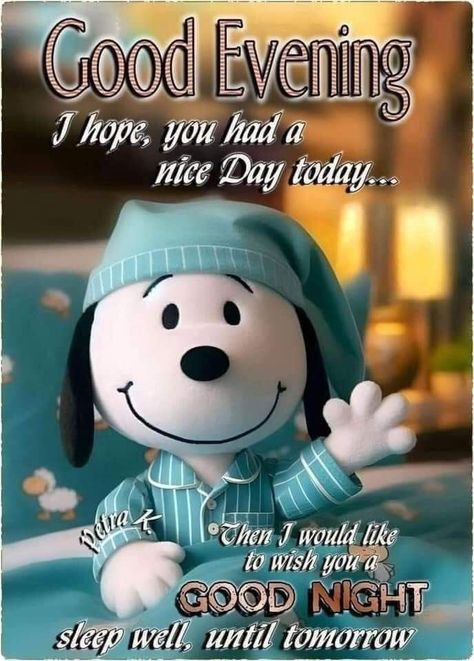 Cute Good Night Quotes, Good Night Blessings Quotes, Good Night Sleep Well, Good Night Prayer Quotes, Good Morning Snoopy, Happy Day Quotes, Love Is Cartoon, Good Evening Greetings, Good Morning Sweetheart Quotes