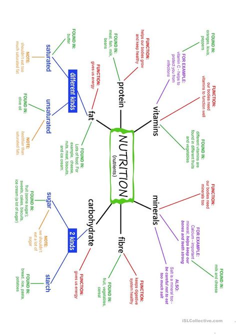 Nutrition (Nutrients) Mind Map and exercises - English ESL Worksheets Bio Chemistry, Digestive System Worksheet, Nutrition Notes, Teaching Nouns, Concept Mapping, Biochemistry Notes, Health Lesson Plans, Learn Biology, Nurse Educator