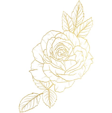 Rose Flower with gold line art Food Photography Composition, Photography Composition, Memorial Poems, Gold Line, Art Tips, Lotus Flower Tattoo, The Rose, Free Png, Birthday Anniversary