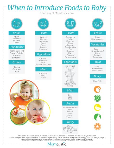 Solid Food Chart for Babies Aged 4 months through 12 months - Find age appropriate foods for all baby food stages on this simple to read baby food chart Baby Solid Food Chart, Baby Food Stages, Baby Solid Food, Diy Baby Food, Baby Food Chart, Baby Feeding Schedule, Food Chart, Baby Fruit, Baby First Foods