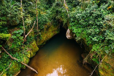 Exploring Caves in Puerto Rico | Discover Puerto Rico Enchanted River, El Yunque National Forest, Largest Waterfall, Natural Swimming Pool, Tourism Website, Caving, Natural Bridge, Beautiful Waterfalls, Beautiful Places To Visit