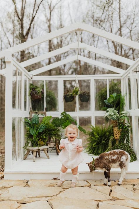 Green House Photography Studio, Mini Greenhouse Photoshoot, Green House Photoshoot, Creek Minis, Greenhouse Portraits, Macrame Photography, Photography Greenhouse, Greenhouse Studio, Photography Freebies