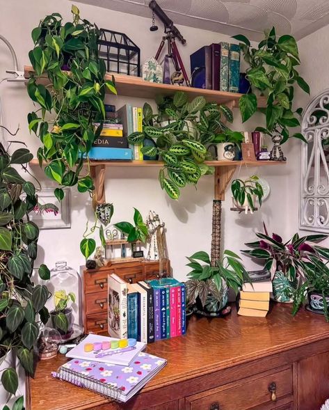 43 Amazing Plant Wall Shelf Ideas - Home Soils Plant Wall Shelf Ideas, Plant Wall Shelf, Wall Shelf Ideas, Plant Wall, Shelf Ideas, Wall Shelf, Wall Shelves, Soil, Shelves