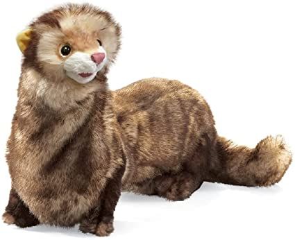 Amazon.com: Folkmanis Ferret Hand Puppet : Toys & Games Puppet Stage, Puppet Ideas, Cricket Equipment, Hand Puppet, Baseball Equipment, Miniature Gift, Baby Gift Ideas, Tailgate Accessories, Neck Support