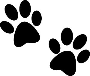 Hondenpootjes Paw Print Clip Art, Pet Paradise, Quilling Ideas, Paw Patrol Birthday Party, Dog Icon, Tattoo Stencil Outline, Quilling Techniques, Paw Patrol Birthday, Dog Paw Print