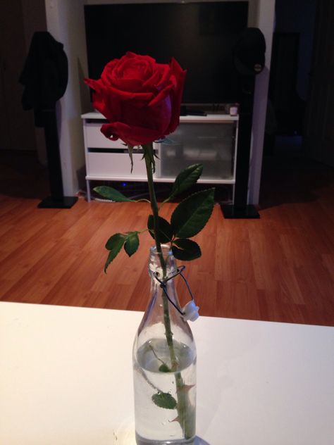 Single Rose in a glass water bottle Rose Floating In Vase, Single Rose In Vase, Single Rose Vase, Rose Water Bottle, Glass Vase With Single Rose, Rose In A Glass, Bottle Picture, Red Glass Flower Vase, Rose Flower Pictures