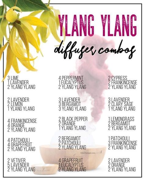 Ylang ylang essential oil diffuser combinations. #ylangylang Oil Distiller, Eo Blends, Essential Oil Perfumes Recipes, Helichrysum Essential Oil, Essential Oil Combinations, Doterra Essential Oils Recipes, Essential Oil Diffuser Blends Recipes, Young Living Essential Oils Recipes, Essential Oils Guide