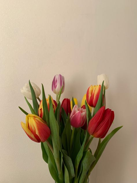 Tulips Wallpaper, Wedding Flowers Tulips, Tulips Arrangement, Orange Tulips, Boquette Flowers, Wallpaper Flowers, Tulips In Vase, Lovely Flowers Wallpaper, Tulip Bouquet