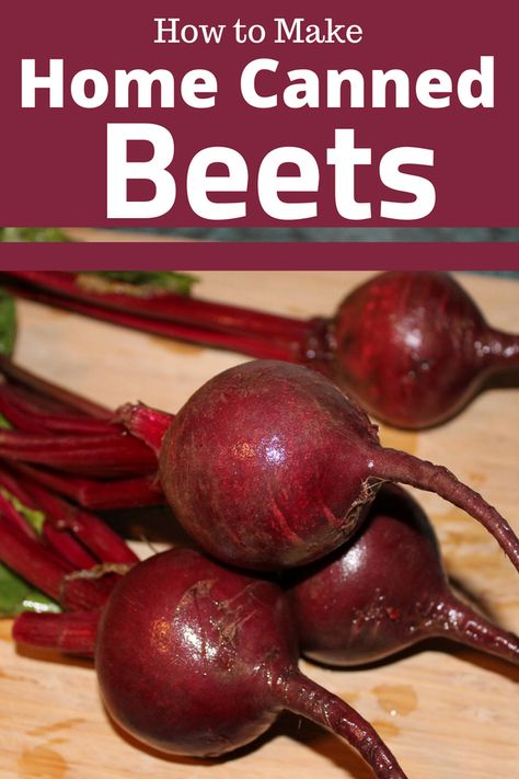 Crock Pot Beets Recipe, Canning Red Beats, Canned Pickled Red Beats, Canned Red Beats, How To Can Beets, Canning Red Beets, Canning Beets Recipes, Kiseli Krastavci, Canned Beets Recipe