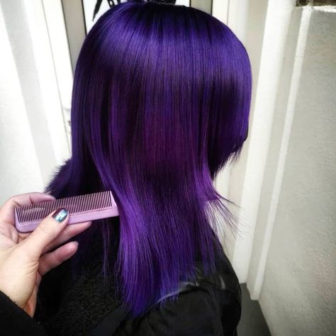 Nightshade Hair Color, Nightshade Purple Hair, Neon Purple Hair Color, Blue Purple Black Hair, Nightshade Hair, Hot Purple Hair, Purple Hair Straight, Vivid Purple Hair, Electric Purple Hair