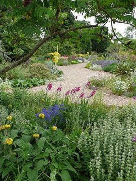 Expert Advice: 11 Tips for Gravel Garden Design – Gardenista Web Story Gravel Garden Plants, Gravel Garden Design, Stachys Byzantina, Beth Chatto, Color Palette Yellow, Gravel Garden, Web Story, Top Soil, Agaves