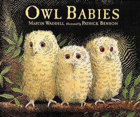 Owl Babies Book, Owl Babies, Board Books For Babies, Owl Books, Markus Zusak, Alone In The Dark, Owl Crafts, Children's Art, Eric Carle