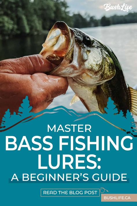 Are you new to bass fishing? Don't worry, we've got you covered! Our beginner's guide on choosing the best bass fishing lures is perfect for anyone just starting out. We've included tips and tricks on what to look for in a lure and some of our favorite picks. Get ready to reel in some big ones! | #fishing #bassfishing #beginnersguide #bushlife | Best Bass Fishing Lures, Best Bass Lures, Kayak Bass Fishing, Crappie Fishing Tips, Bass Bait, Fishing For Beginners, Fly Fishing Tips, Bass Fishing Lures, Bass Lures