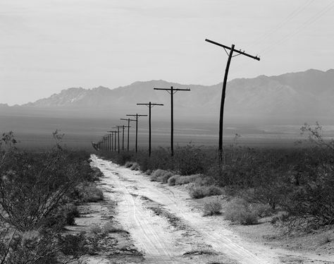 Telegraph road Telephone Operator, Lineman Love, Lineman Wife, Oil Painting Inspiration, Transmission Line, Power Lines, Glass Insulators, Old Trees, Over The Hill