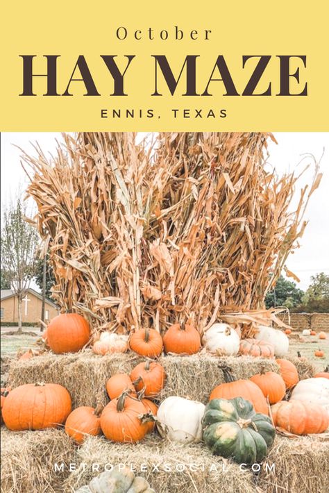 Ennis Texas, Hay Maze, Pumpkin Festival, Texas Places, Fall Activity, Farm Activities, Fall Fest, Halloween Artwork, Corn Maze