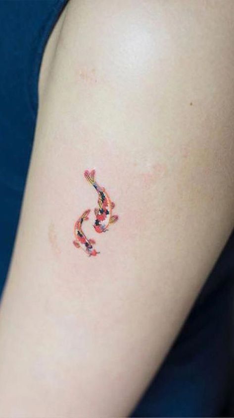 Adorable colored koi fish tattoo on the arm | www.otziapp.com Carp Tattoo, Empowering Tattoos, Dragons Tattoo, Colorful Tattoos, Kunst Tattoos, Pisces Tattoos, Handpoke Tattoo, Koi Tattoo, Koi Fish Tattoo