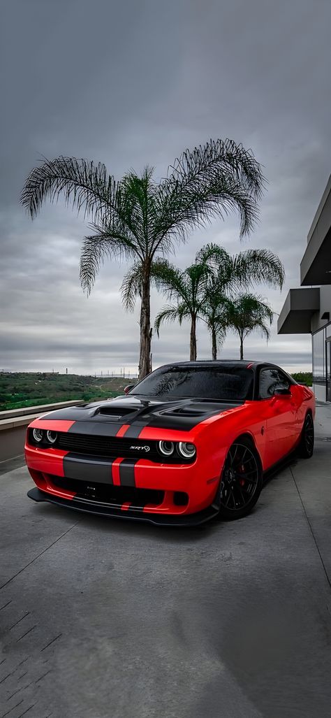 Dodge Challenger Custom, Millionaire Mindset Quotes, Challenger Srt, Dodge Challenger Srt, Custom Neon, Mindset Quotes, Millionaire Mindset, Love Car, Custom Neon Signs