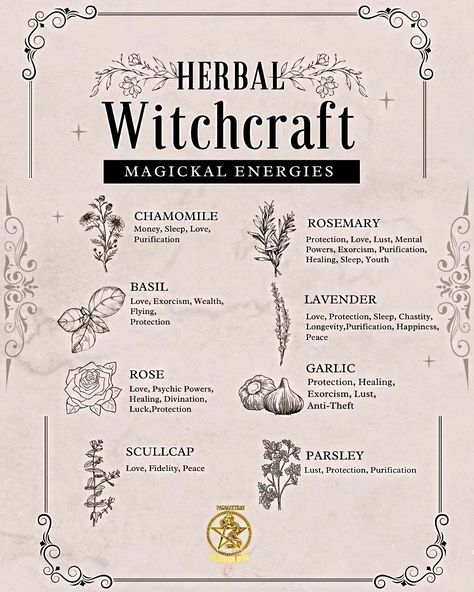 🌿✨ Embrace the magic of herbal witchcraft! ✨🌿 As herbal witches, we connect deeply with nature and harness the power of plants for healing, protection, and transformation. 🌱✨ From crafting potions and herbal remedies to creating sacred spaces, every herb has its own unique energy and purpose. 🌼🌙 Whether it's the calming properties of lavender or the protective energy of sage, each plant offers a special gift. 🌸💫 Let's celebrate the beauty of herbal magic and share our favorite herbs, recipe... Beauty Herbs Witchcraft, Herb Properties Witch, Plants For Witchcraft, Lavender Magical Properties, Healing Herbs Witchcraft, Witchcraft Herbs Meanings, Herb Magical Properties, Herbal Magic Witchcraft, Potions Recipes Witchcraft