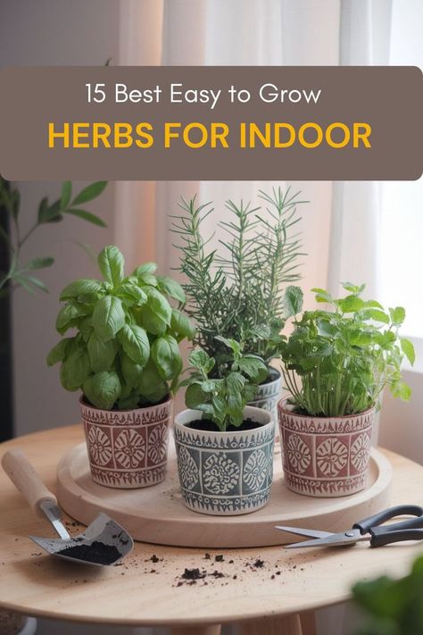 Start your indoor garden with these simple-to-grow herbs! Perfect for fresh flavors in your cooking. Read more. In Kitchen Herb Garden, Herbs To Plant Indoors, Indoor Herb Garden Ideas Diy, Herb Plants In Kitchen, Home Herb Garden Indoor, Herb Growing Indoors, Kitchen Herbs Indoor, Indoor Herb Garden Diy Kitchens, How To Grow Herbs Indoors