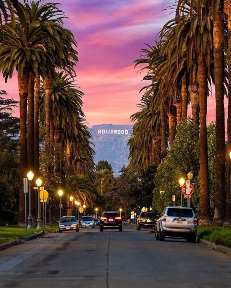 Tripscout Los Angeles on Instagram: “Streets of Hollywood.🌴 Where’s you favorite place to watch sunset?😍👇 📸:@ejimmy3 #hollywoodsign #discoverla #visitcalifornia…” Watch Sunset, Los Angeles Wallpaper, Los Angeles Aesthetic, Los Angeles Travel, California Vibe, California Summer, Hollywood Sign, Santa Barbara California, Visit California