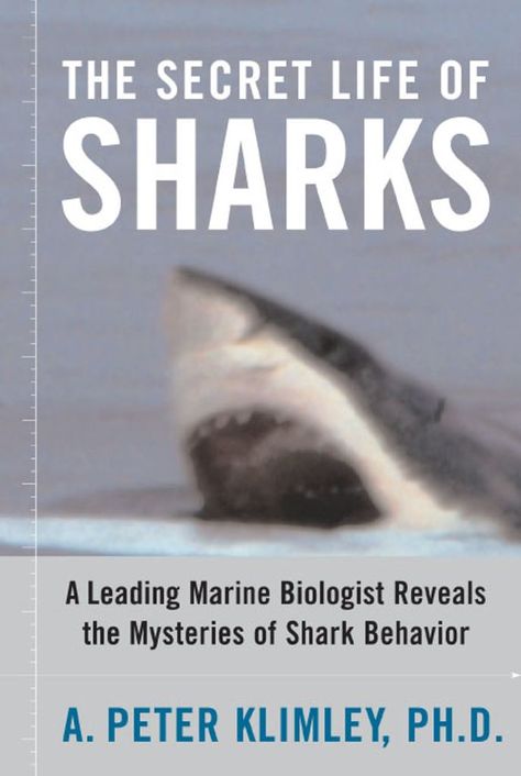 Marine biologist Pete Klimley swims with the sharks. He was one of the first scientists to free-dive among sharks, and he has spent nearly thirty years studying shark behavior, sometimes swimming in schools of several hundred sharks. From his firsthand observations he has learned that sharks are not the vicious man-eaters that we imagine, but fascinating animals with complex behaviors.Most people who think of sharks at all think immediately of great white sharks. But there are more than four... Huge Shark, Shark Books, Free Dive, Species Of Sharks, Conservation Biology, Scientific Articles, Marine Biologist, Book Community, Shark Week