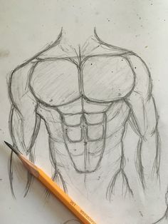 tipico richard Muscle Drawing Sketches, Muscles Sketch, Muscle Sketch, Muscles Drawing, Muscle Drawing, Anatomical Heart Drawing, How To Draw Abs, Color Drawing Art, Sketch Tattoo Design