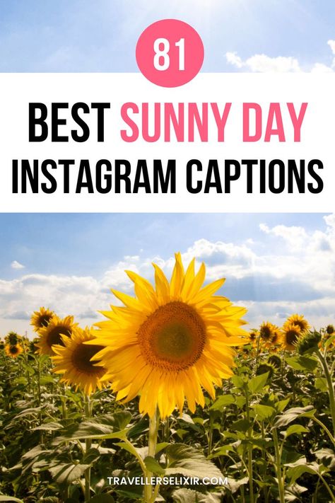 Best sun Instagram captions & quotes Sunny Days Captions For Instagram, Captions For Instagram Sunshine, Quotes Sunny Day, Sunny Sunday Quotes, Sunny Insta Captions, Sunny Caption, Nice Weather Captions, Sunny Instagram Caption, Caption For A Day Out