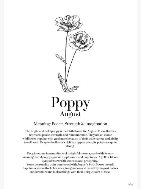 Poppy Flower Meaning Birth Month, Poppy Spiritual Meaning, Poppy August Flower, Meaning Of Poppy Flower, Poppy Flower Tattoo Meaning, Delicate Poppy Tattoo, August Birth Flower Tattoo Gladioli And Poppy, August Symbols, Poppy Seed Tattoo