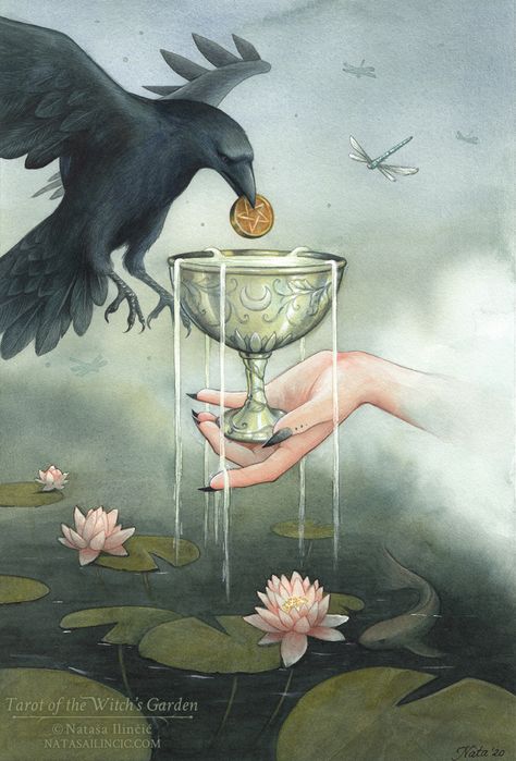 — Ace of Cups, Tarot of the Witch’s Garden.... Ace Of Cups Tarot, Ace Of Cups, Witch's Garden, Cup Tattoo, Cups Tarot, Tarot Magic, Witch Garden, Consciousness Art, Tarot Cards Art