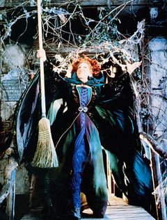 Winifred Sanderson (Bette Midler) from Hocus Pocus Best Fall Movies, Hermanas Sanderson, Hocus Pocus Costume, Hocus Pocus 1993, Hocus Pocus Movie, Hocus Pocus Witches, Winifred Sanderson, Hocus Pocus 2, Witch Pictures