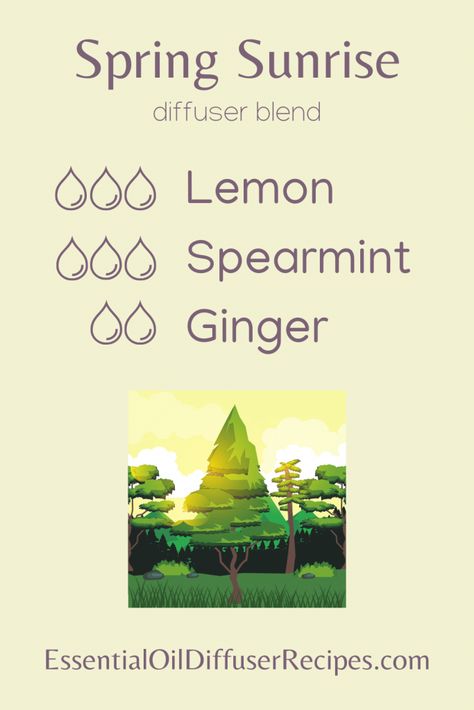 Spring Diffuser Blends, Witch Recipes, Summer Essential Oils, Spring Sunrise, Scentsy Oils, Eo Blends, Mint Essential Oil, Aromatherapy Recipes, Essential Oil Diffuser Blends Recipes