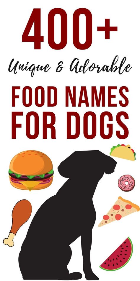 Find your perfect puppy name with these fantastic food names for dogs!  400  unique and adorable options to choose from.    #puppynames #dognames Food Pet Names, Puppy Litter Theme Names, Food Names For Pets, Food Names Ideas, Food Dog Names, Food Names For Dogs, Names For Pets, Goldendoodle Names, Cute Puppy Names