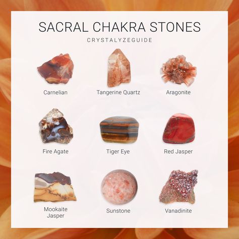 Crystals For Sacral Chakra, Sacral Crystals, Sacral Chakra Crystals, Energy Stones Crystal Healing, Crystal Identification, Sacral Chakra Healing, Sacral Chakra Stones, About Crystals, The Sacral Chakra