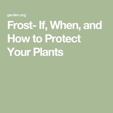 Frost Protection For Plants, Spring Planting, Annual Garden, Row Covers, Heirloom Vegetables, Seed Catalogs, Plant Protection, Spring Plants, Annual Flowers