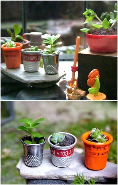 Tiny Thimble Planters Funny Vine, Fairy Garden Furniture, Fairy House Diy, Fairy Garden Crafts, Fairy Garden Designs, Fairy Furniture, Fairy Crafts, Garden Crafts Diy, Fairy Garden Houses