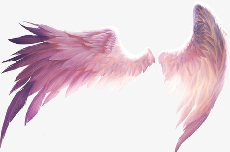 Angel Wings Png, Angel Wings Drawing, Wings Png, Angel Wings Art, Picsart Png, Wings Drawing, Wings Art, Anime Angel, Drawing Base