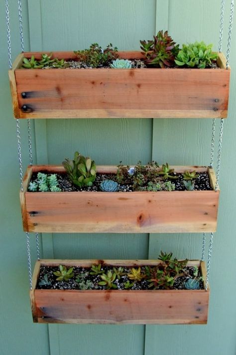 Windows Apartment, Diy Flower Box, Wooden Succulent Planter, Hanging Planter Boxes, Indoor Succulent Planter, Diy Wall Planter, Industrial Crafts, Box Planters, Art Hallway