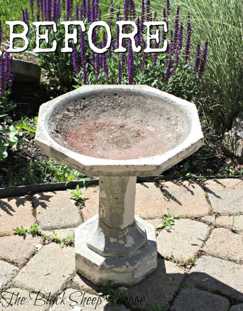 Concrete birdbath before. Painted Concrete Bird Bath, How To Paint A Concrete Bird Bath, Painting Concrete Bird Bath, Painting A Cement Birdbath, Painted Birdbath Ideas, Painted Bird Bath Ideas, Bird Bath Makeover Concrete, Painting A Bird Bath, Bird Bath Painting Ideas Concrete