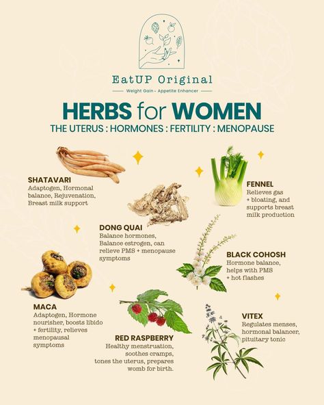 Herbs For Women, Balancing Hormones, Medical Herbs, Holistic Health Remedies, Feminine Health, Natural Healing Remedies, Herbal Healing, Home Health Remedies, Herbal Magic