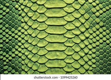 Crocodile Skin Texture, Crocodile Eyes, Texture Sketch, Reptile Scales, Scale Skin, Evil Disney, Beach Sunset Wallpaper, Dragon Skin, Scale Drawing