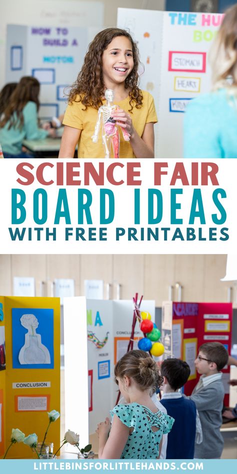 Check out our science fair boards ideas. Download and print our free printable pack for all of our science fair board ideas! Learn how to set up the best board for the kids science experiment. Friction Science Fair Projects, Science Fair Project 3rd Grade, Science Fair Project For 1st Grade, Science Fair Questions Ideas, Density Science Fair Project Board, Rock Candy Science Fair Project Board, Geology Science Fair Projects, Science Fair Projects For Kindergarten, Science Fair Boards Display